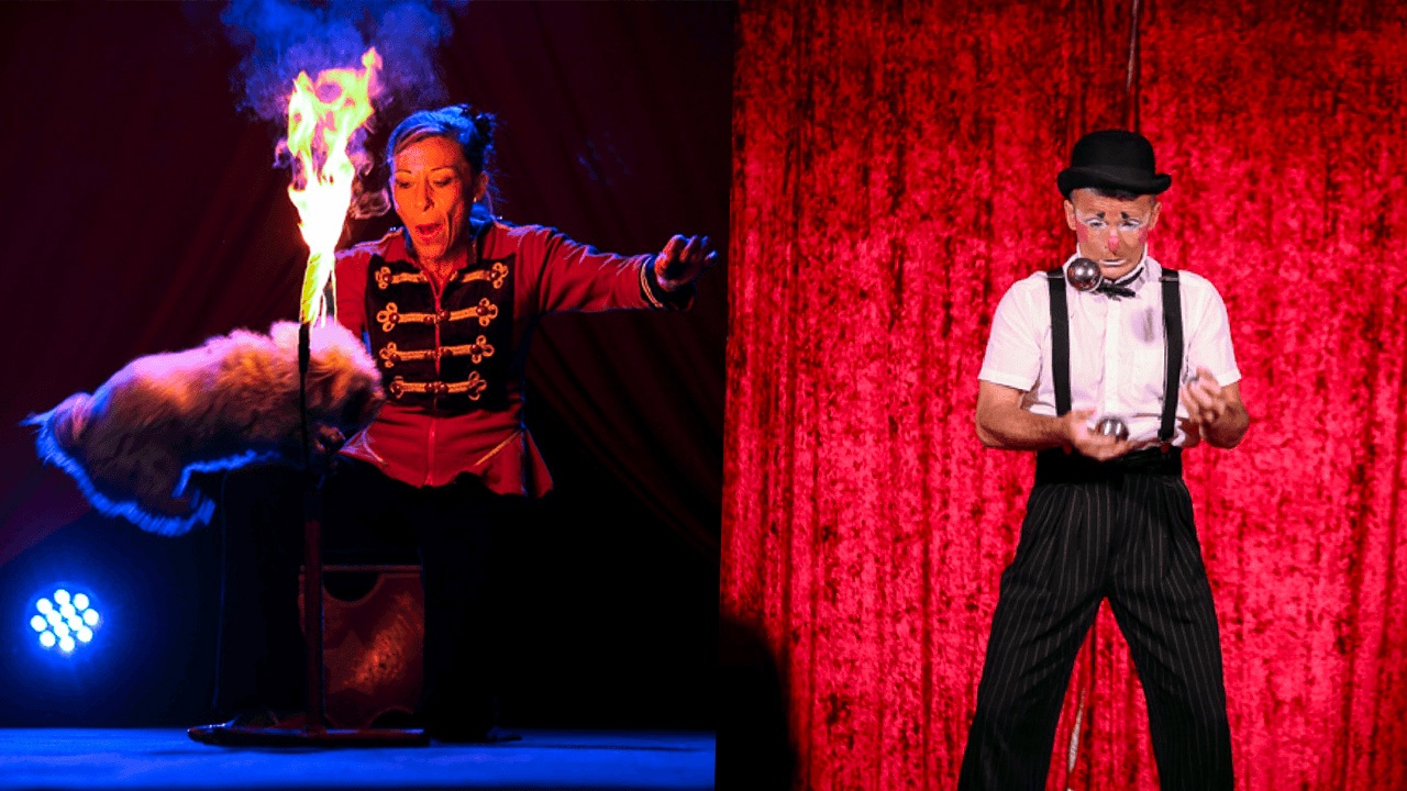 so-decoration-animation-cirque-mulhouse